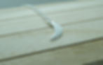 DSCF2358