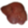 HIGADO-CERDO1.jpeg
