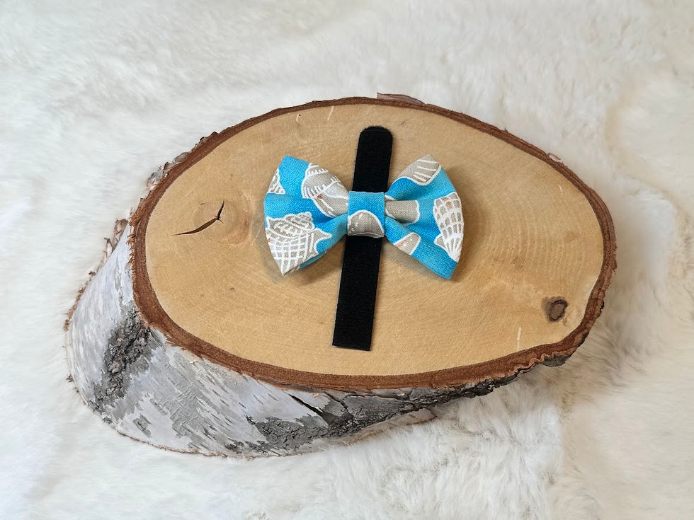 X-Small Sea Shells on Blue Pet Bow Tie/ Cat Bow Tie/ Dog Bow Tie