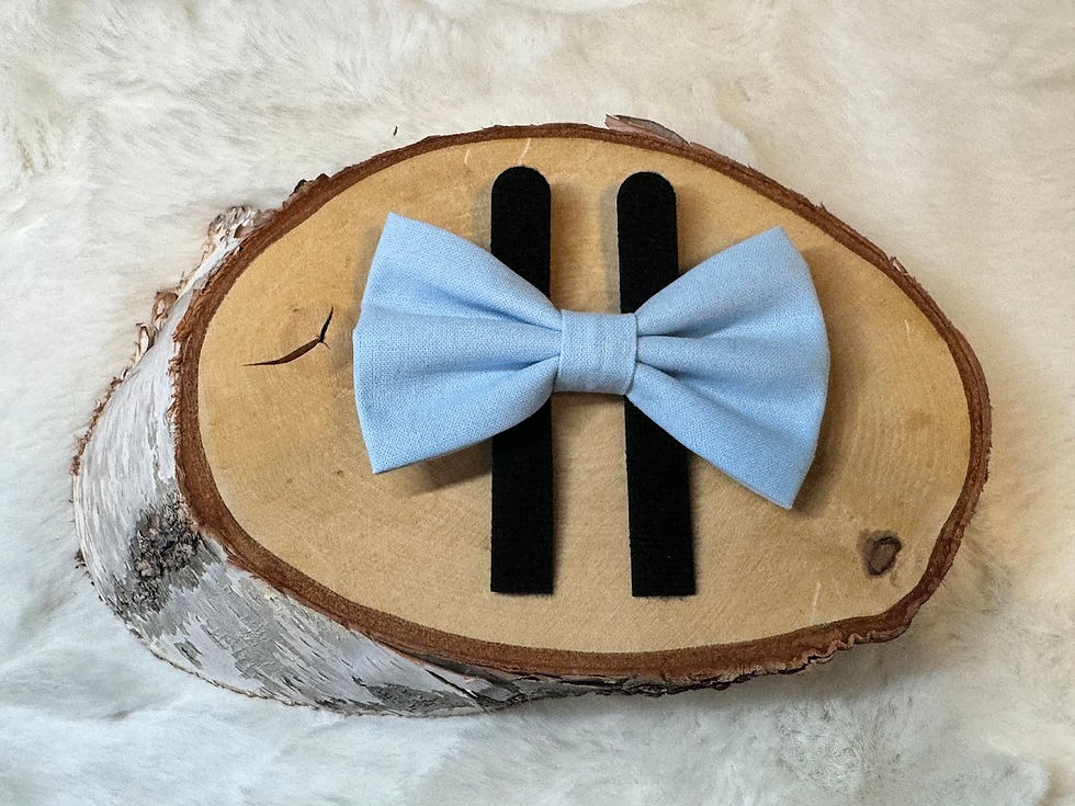 Small Solid Ice Blue Pet Bow Tie/ Cat Bow Tie/ Dog Bow Tie