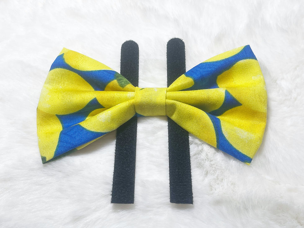 Large When life gives you lemons Pet Bow Tie / Cat Bow Tie/ Dog Bow Tie / Hair