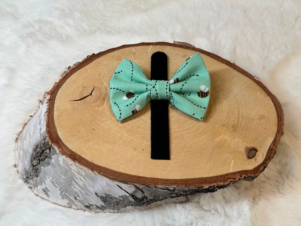 X-Small Bee-Dazzling Pet Bow Tie/ Cat Bow Tie/ Dog Bow T