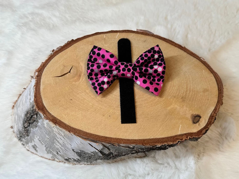 X-Small Dots on Pink Pet Bow Tie/ Cat Bow Tie/ Dog Bow Tie