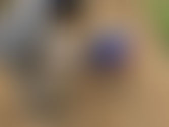 YWAM Windhoek creates Sustainable Base