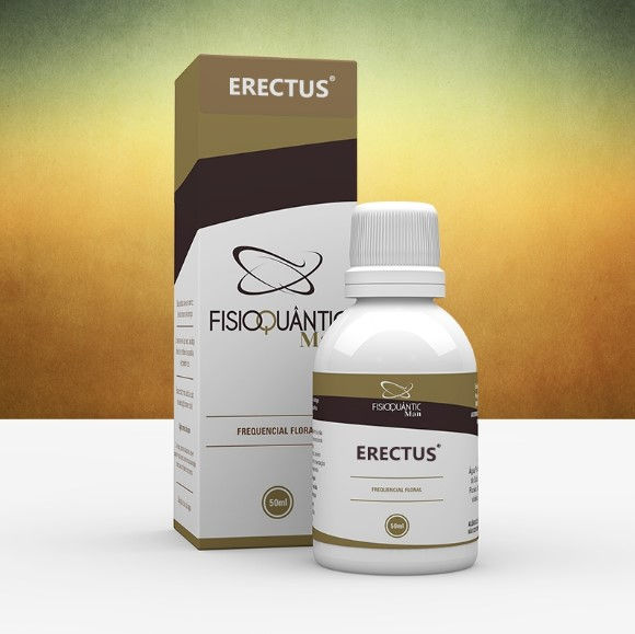 Erectus