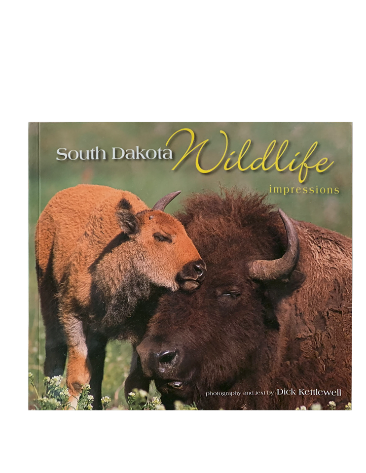 South Dakota Wildlife Impressions