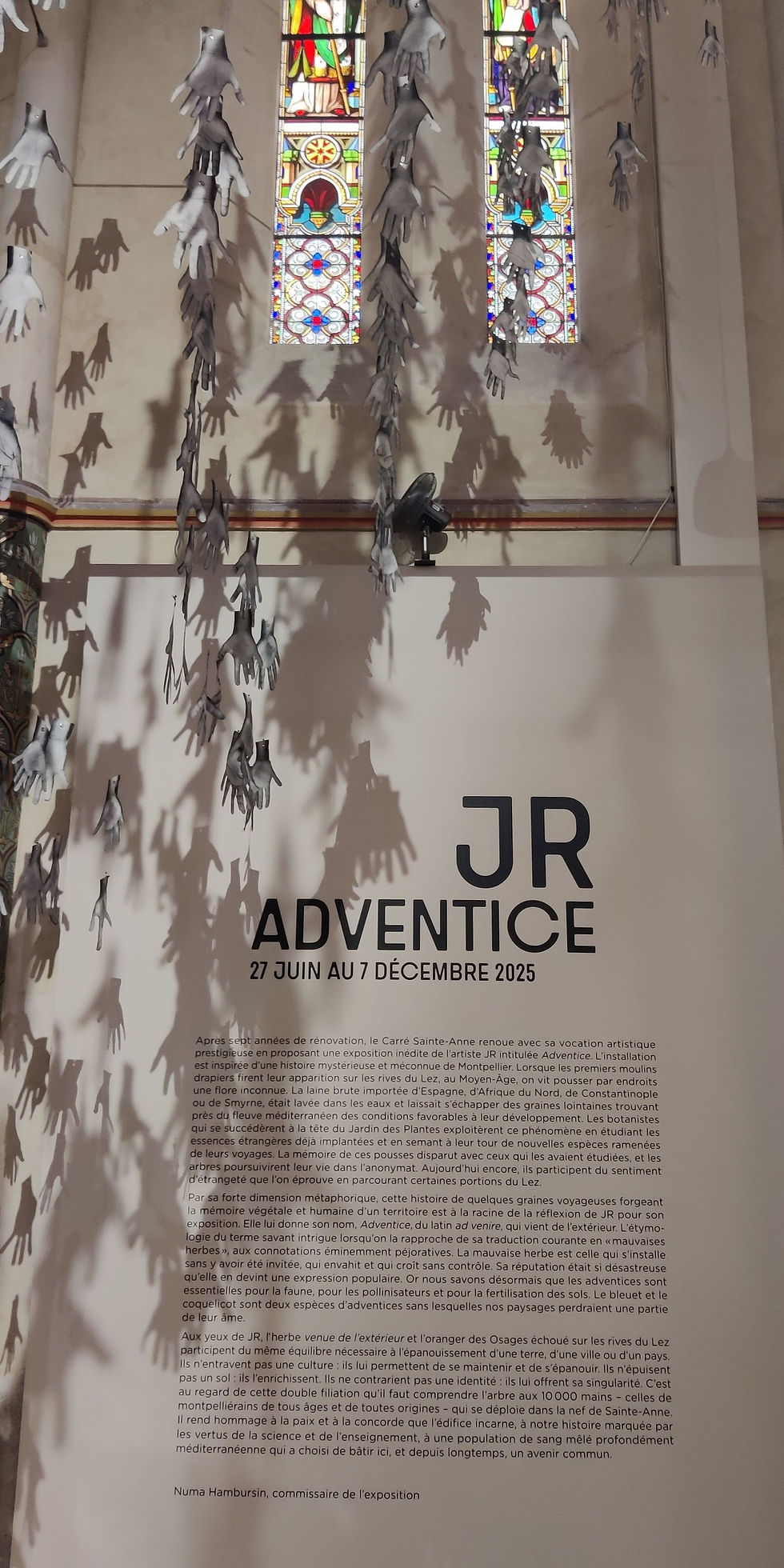 Adventice, la nouvelle expo monumentale de l'artiste JR au Carré Sainte Anne de Montpellier