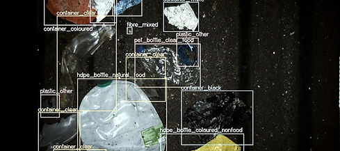 Greyparrot, taxonomy, plastics