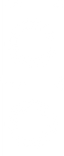 wd.png