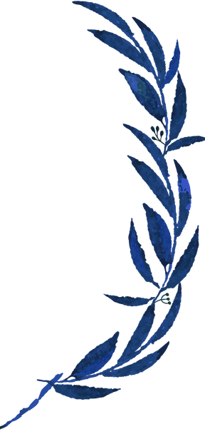 leaves2_edited_edited.png