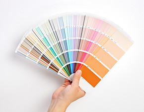 Hand Holding Color Swatches