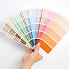 Hand Holding Color Swatches