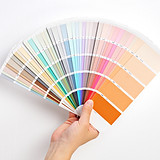 Hand Holding Color Swatches