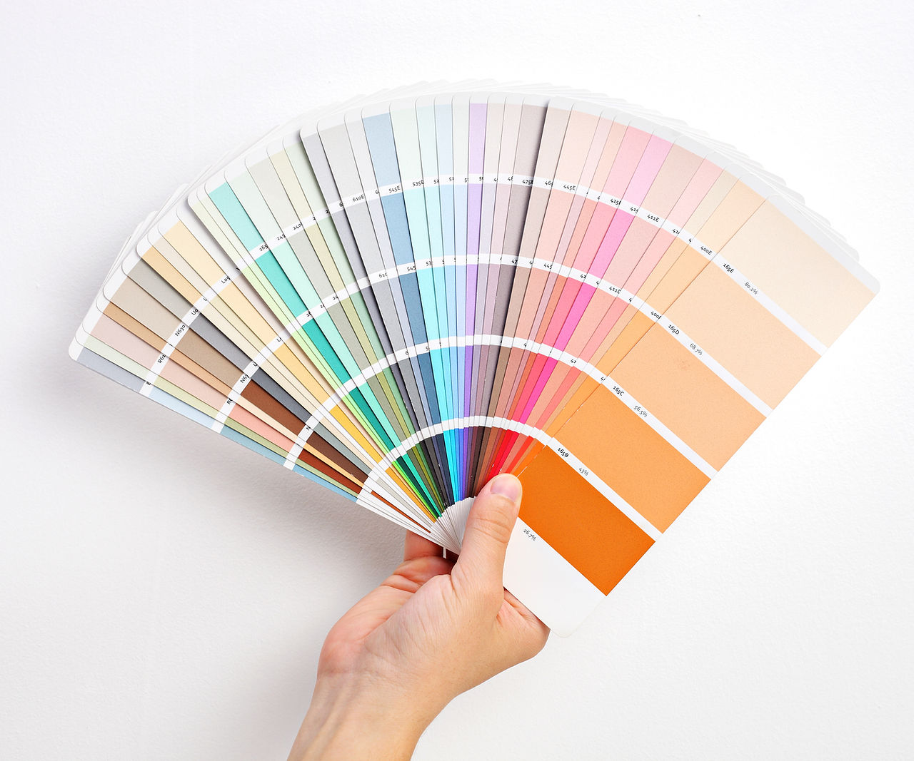Hand Holding Color Swatches