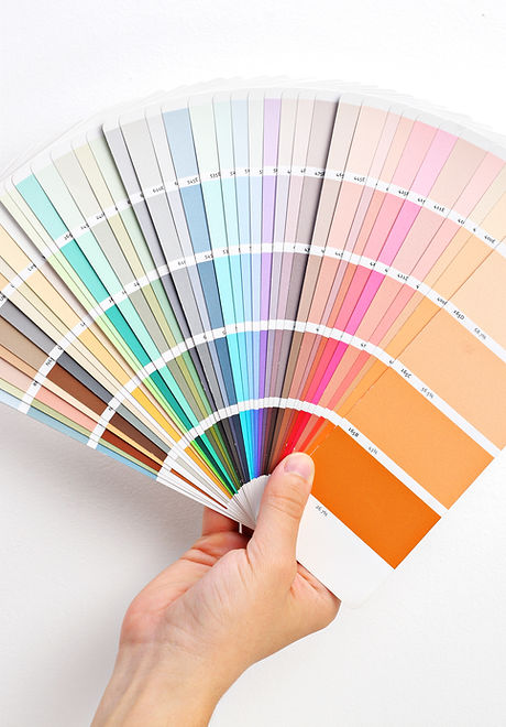 Hand Holding Color Swatches