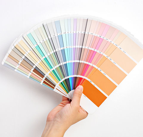 Hand Holding Color Swatches