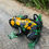 Thumbnail: Black Eye Susan Frog