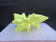 The production model viewed from the side, showing the form’s projecting facets.