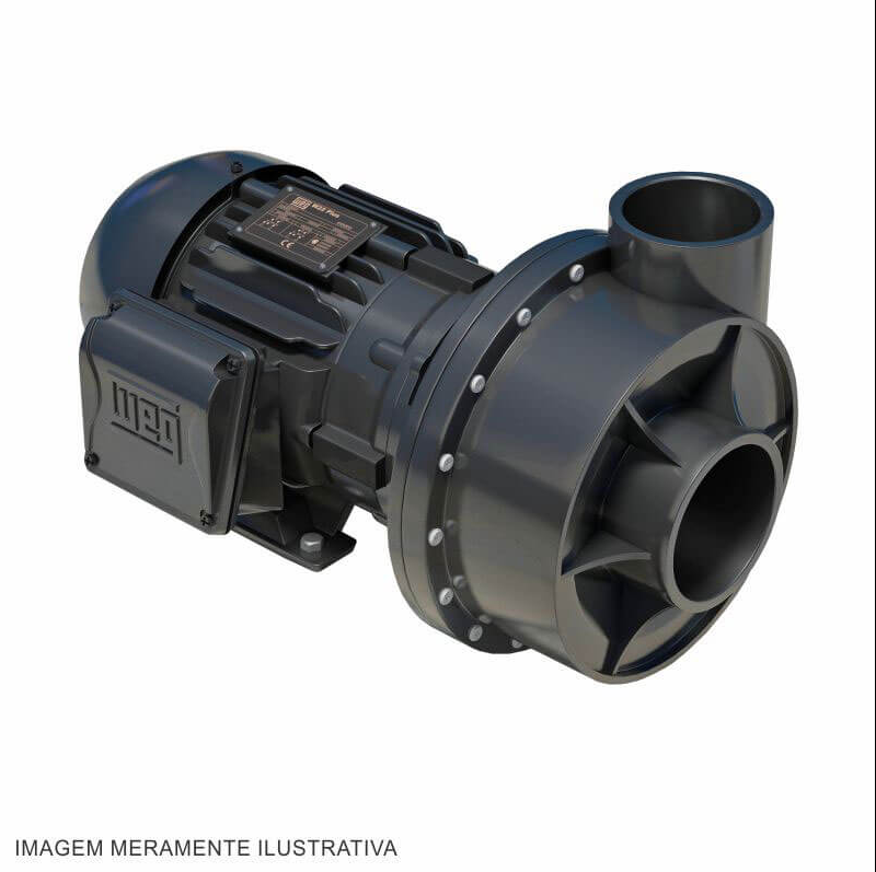 Motobomba Série AP-6 (2cv) 110/220 bifásica