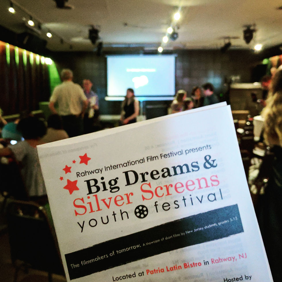 BDSS Youth Festival 2017