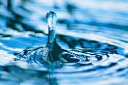 Macro Shot of a Water Drop