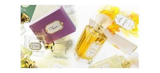 Detaille 1905, Arrivée Maison de grande tradition de parfumerie française.