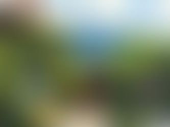 Lawn Mowing and Trimming That Actually Works