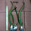 Hình thu nhỏ: Rooted Yellow Dragon Fruit (Hylocereus megalanthus) 12" to 24"+ Inch