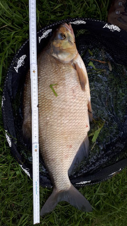 WhatsApp Image 2021-07-10 at 19.37.32.jpeg