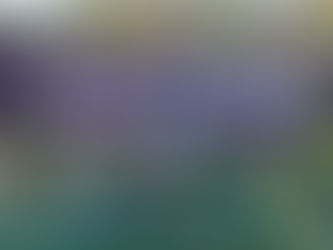 State Open Cross Country Has Been Postponed