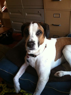 phone feb march 2012 094