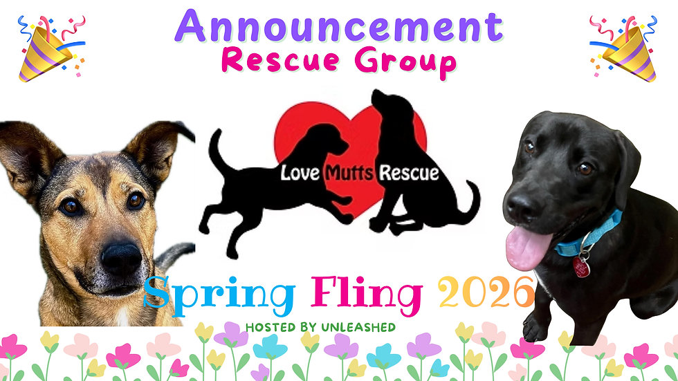 Love Mutts and Cats, too Rescue is coming to Spring Fling 2025!