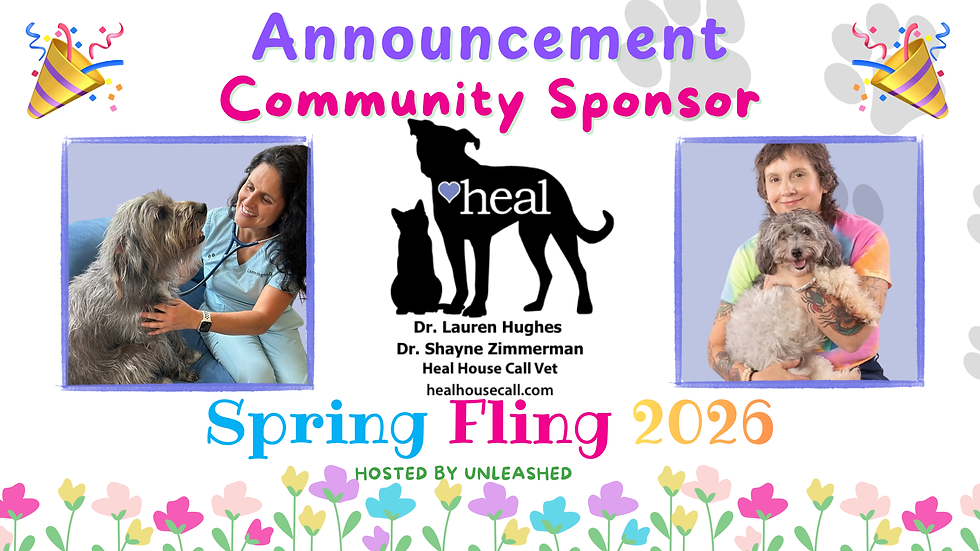 Binky and Bell Logo Banner