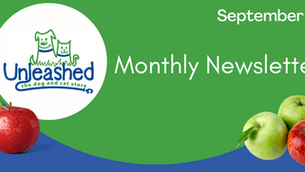 September Newsletter