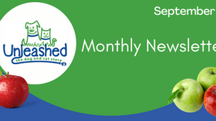 September Newsletter
