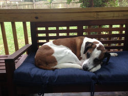 imported nov 2015 2015-10-04 013