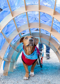 A Cool Shelter