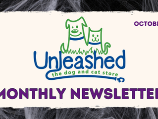October 2025 Newsletter