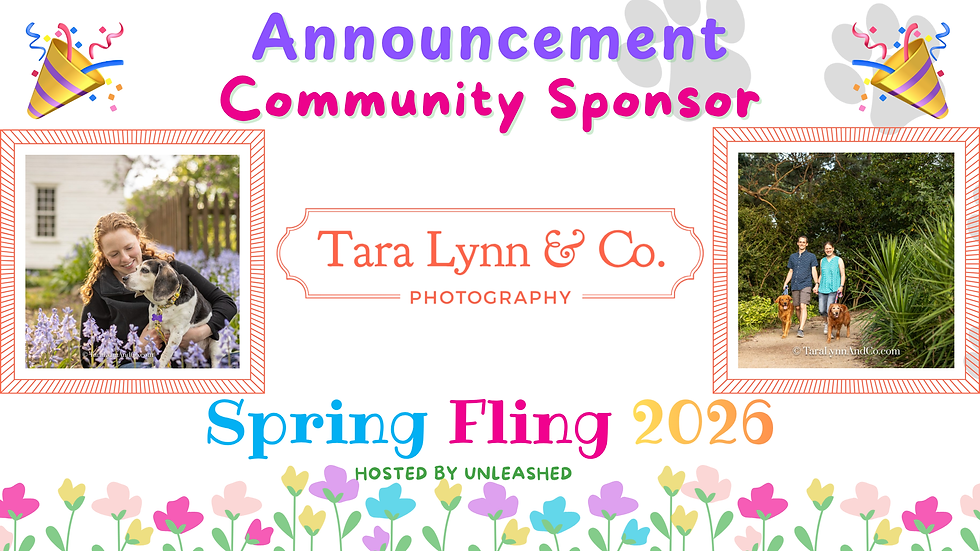 Tara Lynn & Co Photography Logo Banner