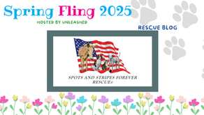 Spots and Stripes Forever Rescue