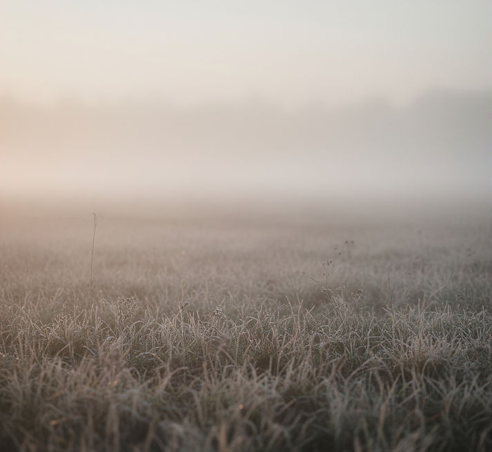 FIELD SMOKE _edited.jpg