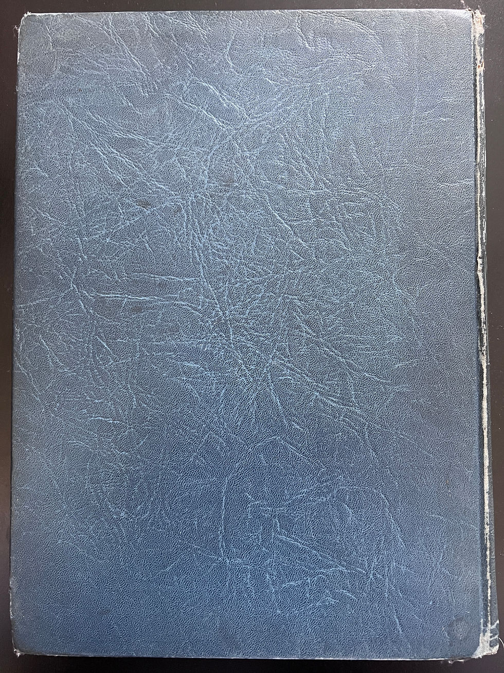 Thumbnail: THE BLUE BOOK OF THE SCREEN (1925) US Hardcover Edition
