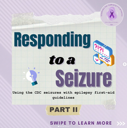 Screen Shot 2024-07-01 at 7.36.53 PM