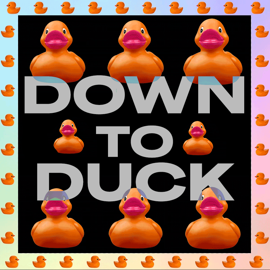 downtoduck_1x1.gif