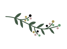 branch asset_edited_edited.png