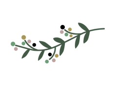 branch asset_edited.png