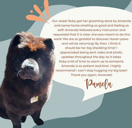Haven Paws Testimonials Q1 2025.png