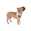 Thumbnail: Take Care  Dog Pet Bandana 4- Stylish & Trendy Accessory for Pet Lovers