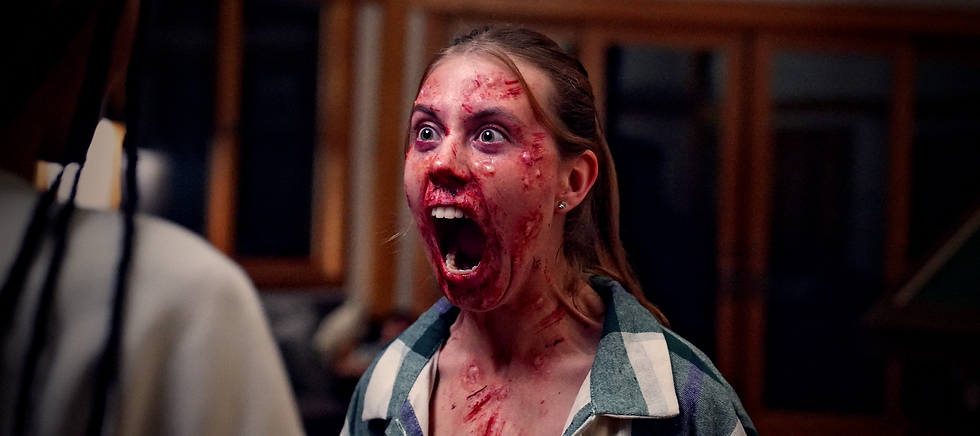 Noseeums Film Review