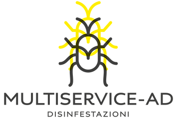 MULTISERVICE 2T 3.png